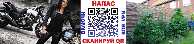 blacksprut зеркало продажа наркотиков Балей даркнет состав Конопля планчик